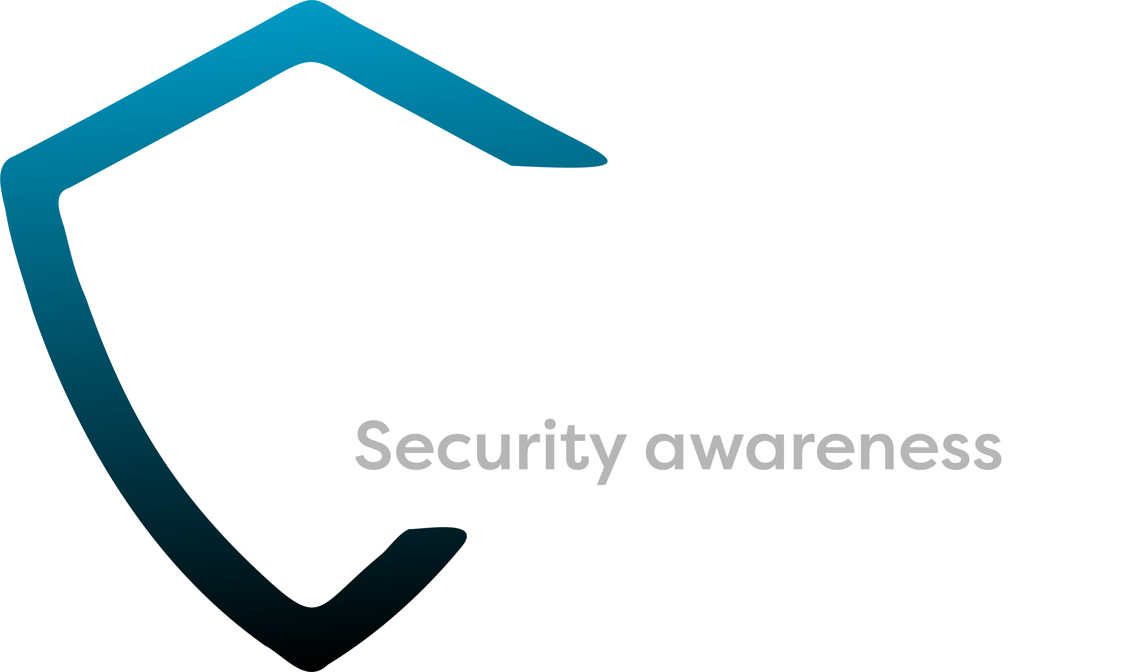 NETCONCEPT